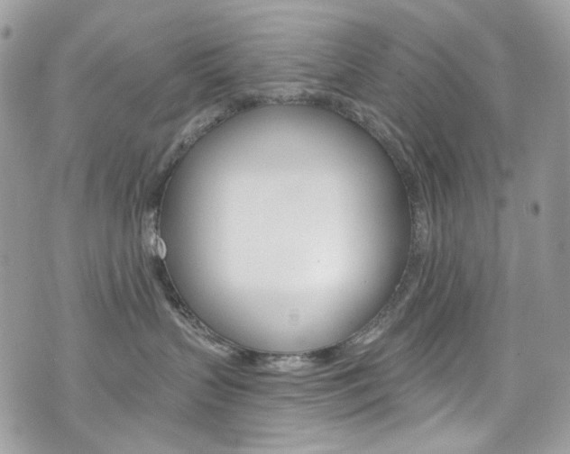 X0000076350383200609290936