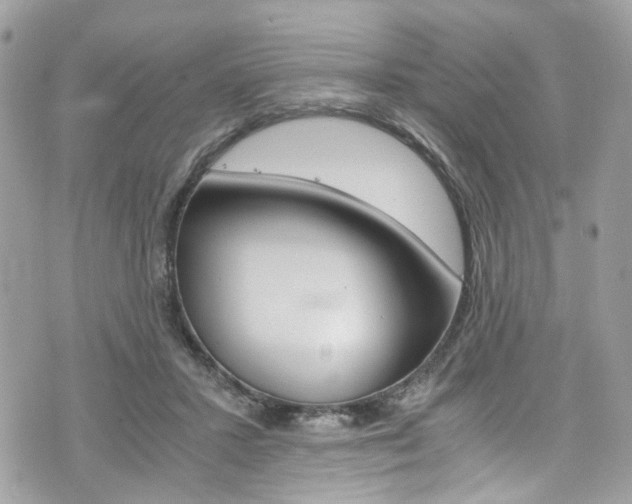 X0000076350407200609290935