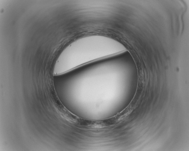 X0000076350412200609290935