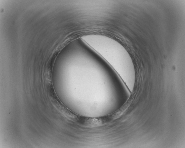 X0000076350421200609290935