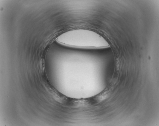 X0000076350428200609290935
