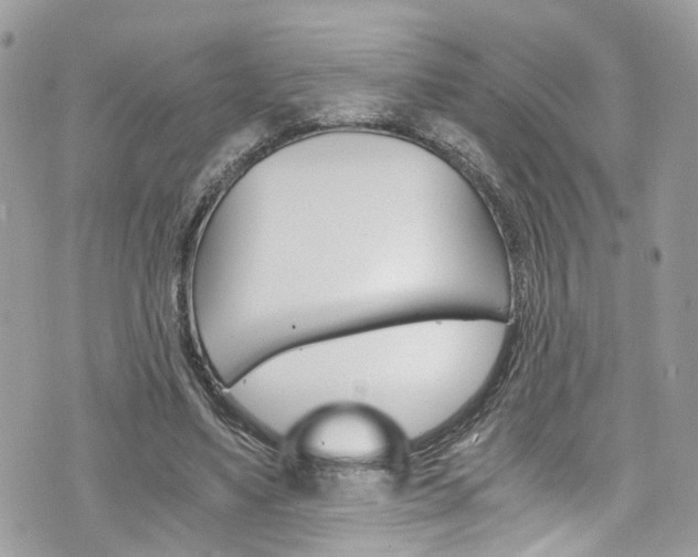 X0000076350491200609290934