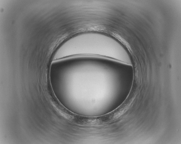 X0000076350493200609290934