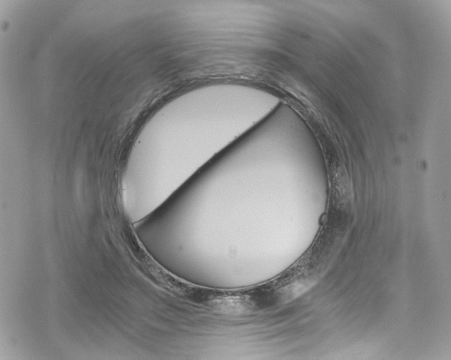 X0000076350499200609290933