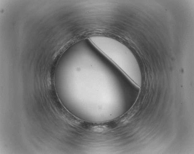 X0000076350508200609290933