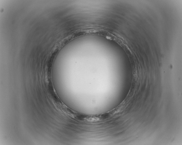 X0000076350512200609290933