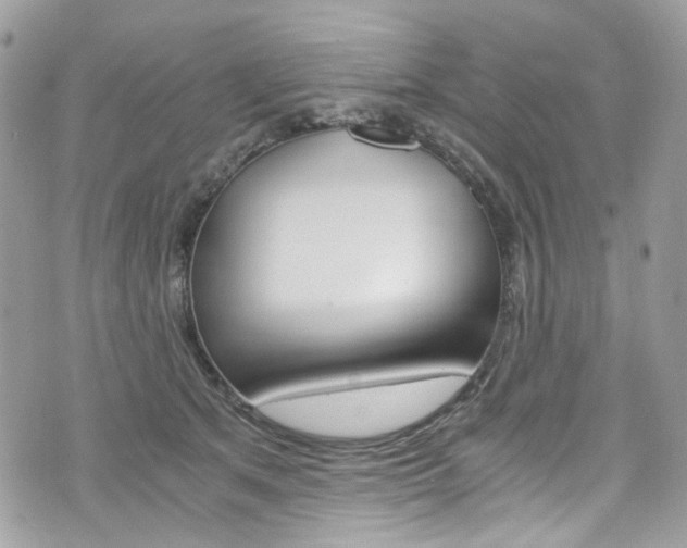 X0000076350513200609290933