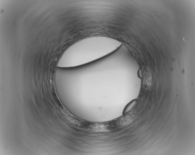 X0000076350518200609290933