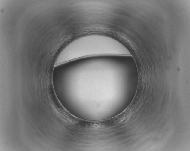 X0000076350546200609290933