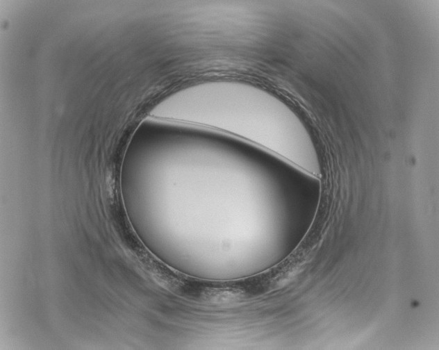 X0000076350597200609290932