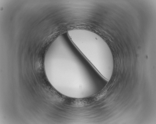 X0000076350608200609290932