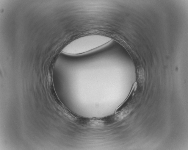 X0000076350617200609290932