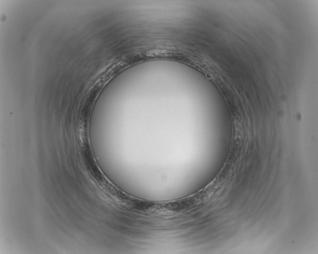 X0000076350648200609290931