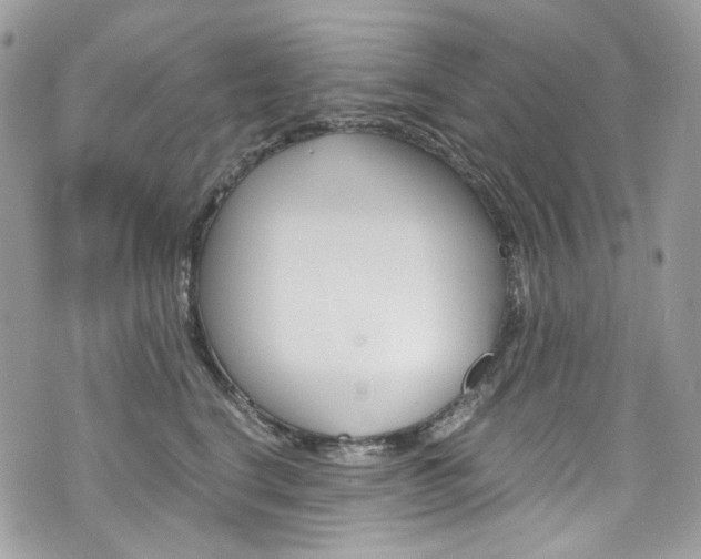X0000076350664200609290931