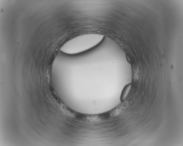 X0000076350666200609290931