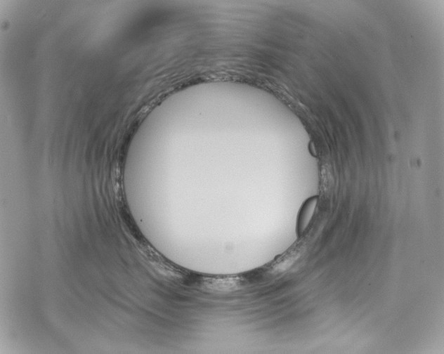 X0000076350671200609290931