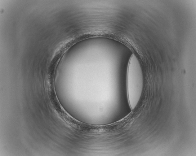 X0000076350688200609290930