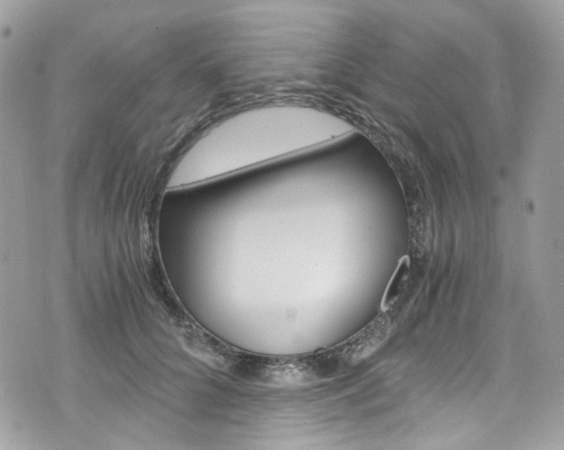 X0000076350704200609290930