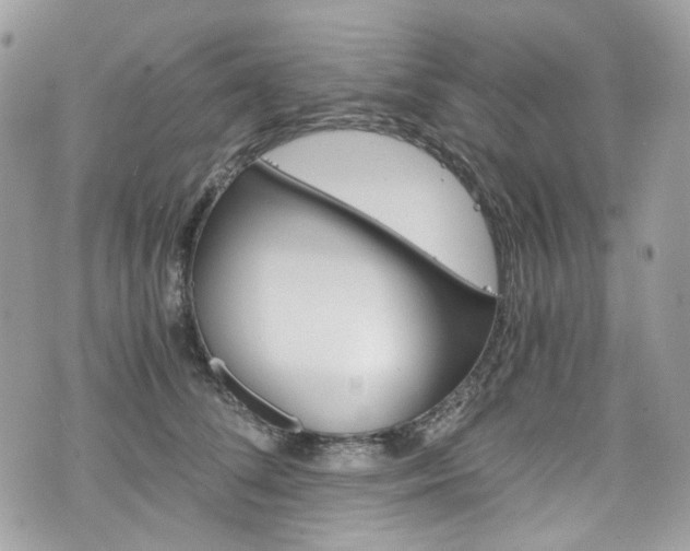 X0000076350708200609290930