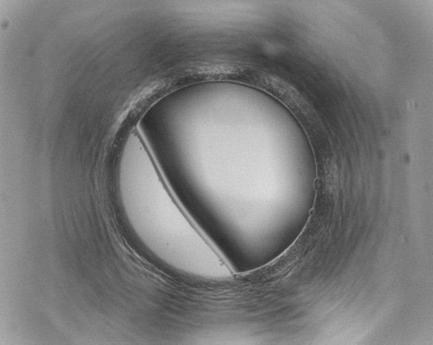 X0000076350731200609290929