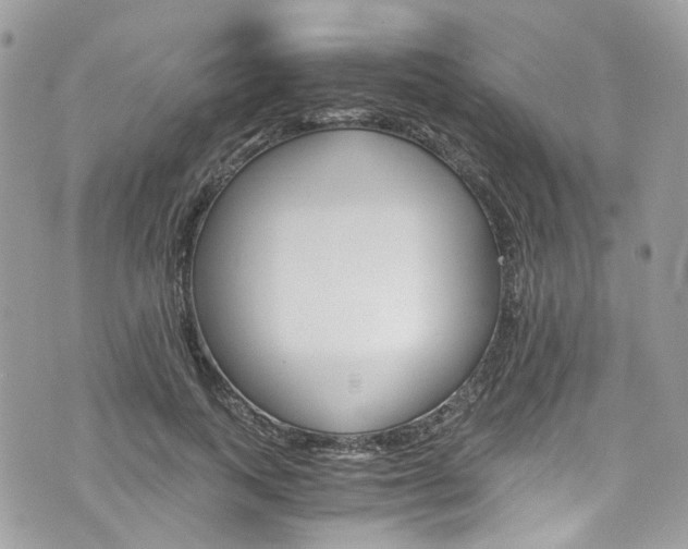 X0000076350743200609290930