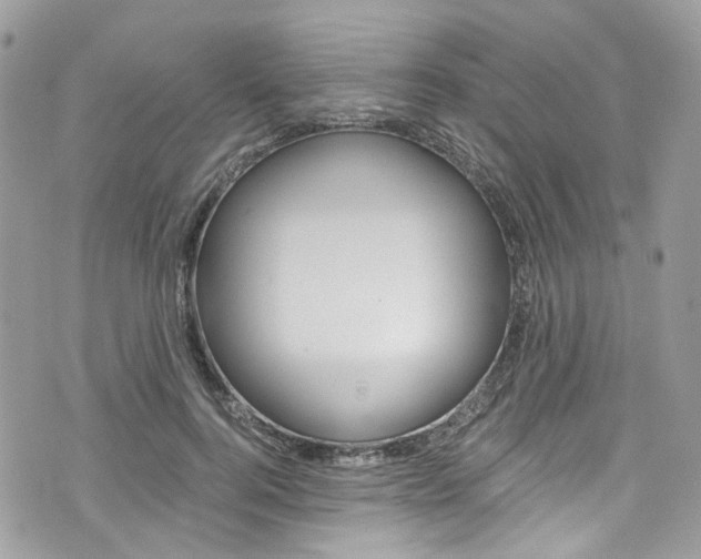 X0000076350744200609290930
