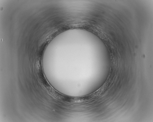 X0000076350746200609290930