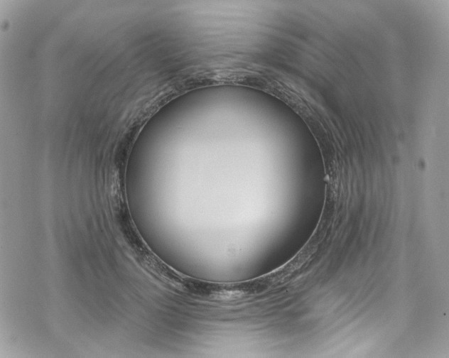 X0000076350748200609290930