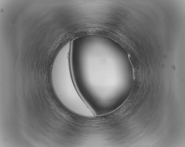 X0000076350750200609290930