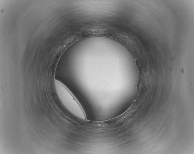 X0000076350752200609290930