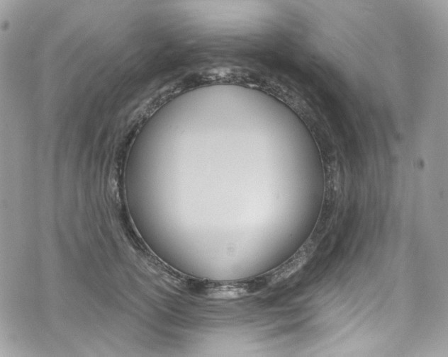 X0000076350754200609290930