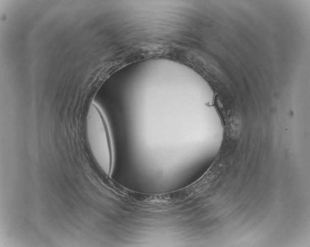 X0000076350756200609290930