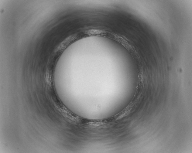 X0000076350763200609290930