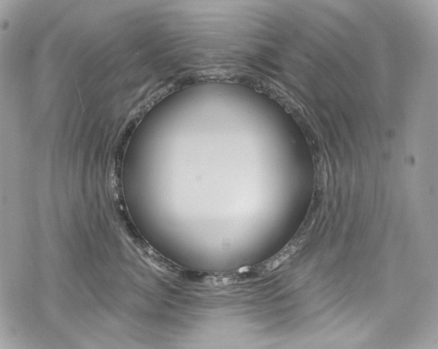 X0000076350764200609290930