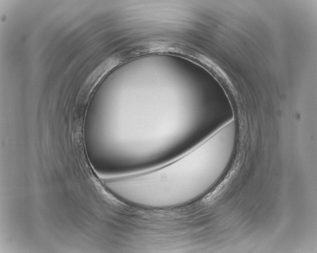 X0000076350801200609290929
