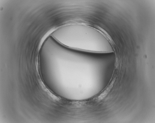 X0000076350812200609290928