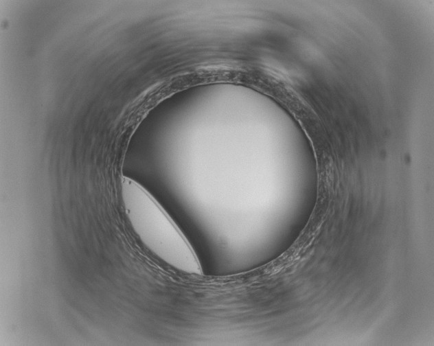 X0000076350821200609290928