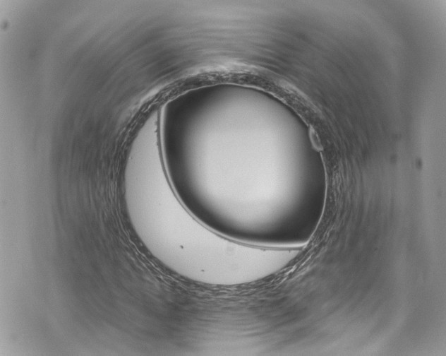 X0000076350822200609290928