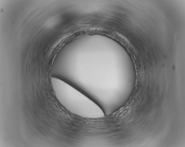 X0000076350823200609290928