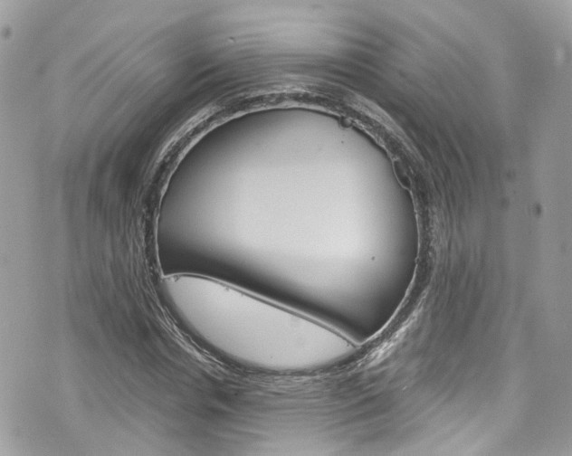 X0000076350826200609290928