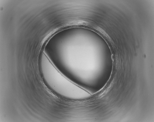 X0000076350834200609290928