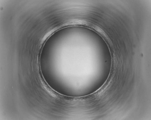 X0000076350842200609290928