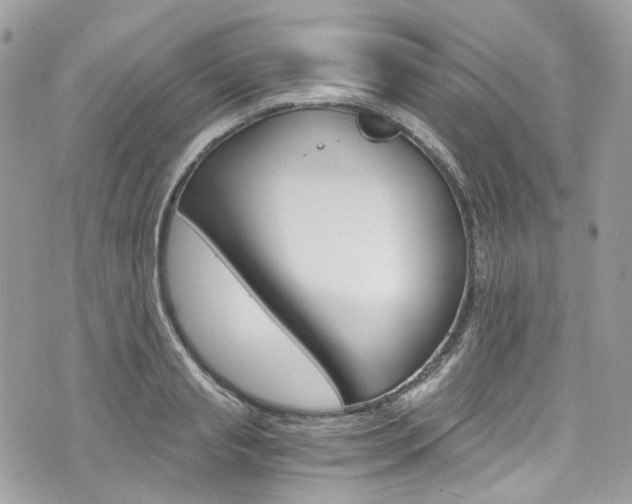 X0000076350845200609290928