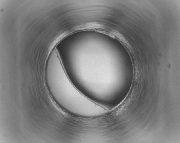 X0000076350850200609290928