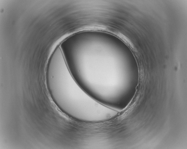 X0000076350854200609290928