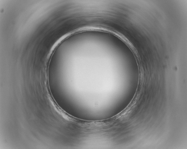X0000076350862200609290928