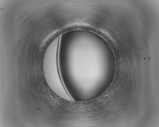 X0000076350872200609290927