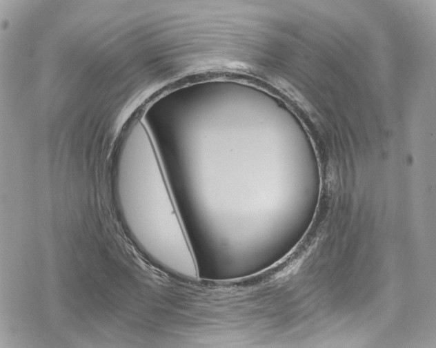 X0000076350877200609290927