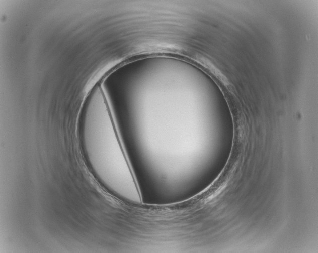X0000076350885200609290927