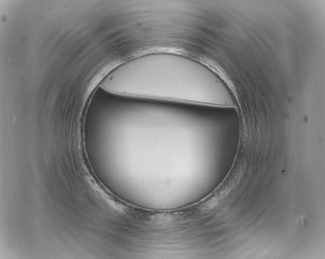 X0000076350898200609290927
